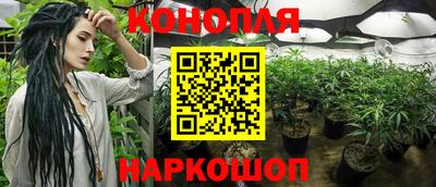 гидра Волжск