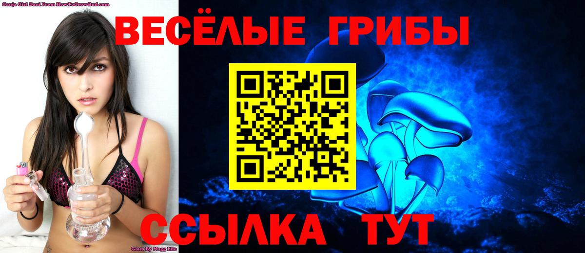 Псилоцибиновые грибы мухоморы  Вход с VPN  Дюртюли  Галлюциногенные грибы Psilocybe 